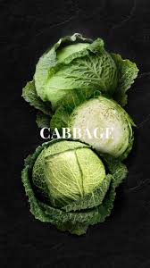Cabbage Food Photography Photographie De Fruit Design Culinaire Stylisme Culinaire