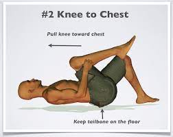 Exercises For Low Back Pain Detailed Easy To Follow Illustrations