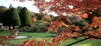 Malleny Garden Path With Shaped Yew Trees And Autumn Rowan Garden Paths Garden Heritage Rose
