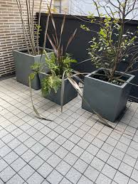 ameblo.jp