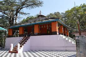 Dunagiri Temple, Dunagiri Temple, Dwarahat, Uttarakhand , best time to  visit, timings and how to reach.