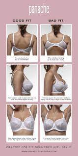 Measure your band size first because you need this to figure out your bra cup size. Why You Re Probably Wearing The Wrong Bra Size Panache Lingerie