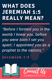And before thou camest forth out of the womb i sanctified thee, and i ordained thee a prophet unto the nations. Jeremiah 1 5 Meaning Of Before I Formed You In The Womb I Knew You Connectus