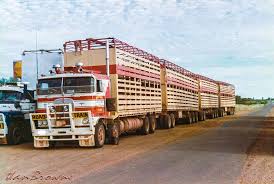 Img 0067 One Too Many Dogs Road Train Big Trucks Train Truck