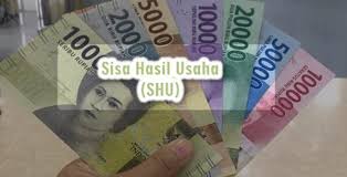 Contoh laporan pengawas koperasi simpan pinjam. Cara Menghitung Shu Koperasi Simpan Pinjam Yang Benar