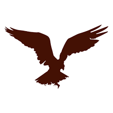 Pin On Merchandise Design Display Ideas