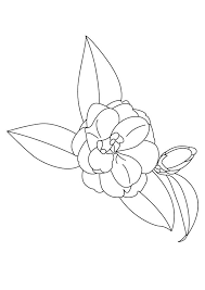 Click the zinnia coloring pages to view printable version or color it online (compatible with ipad and android tablets). Parentune Free Printable The Zinnia Flower Coloring Picture Assignment Sheets Pictures For Child