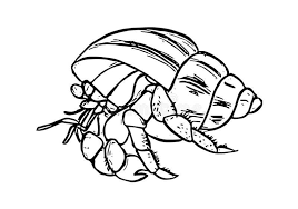 You can use these picture for backgrounds on cell phone crab animal coloring pages i hope you enjoy with my crab animal coloring above, thats very simple coloring ideas for your kids. Ocean Hermit Crab Coloring Page Free Printable Coloring Pages For Kids