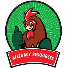 Maybe you would like to learn more about one of these? Ternakan Ayam Kampung Aflegacy Publicaciones Facebook