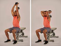 Kostenloser versand und rücksendung / austausch. How To Do An Overhead Tricep Extension Openfit