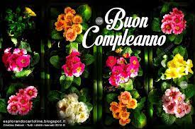 Cdb Cartoline Per Tutti I Gusti Cartolina Tanti Auguri Di Buon Compleanno Buon Compleanno Auguri Di Buon Compleanno Compleanno