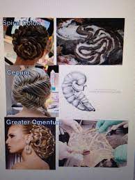 Hairstyles For Veterinarians Vet School Humor School Humor Vet School