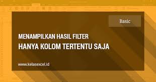 Cara Menampilkan Hasil Filter Hanya Kolom Tertentu Dengan Advanced Filter Excel Tutorial Excel Indonesia