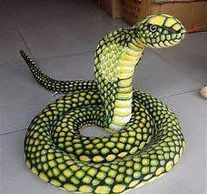 How Big Are King Cobras Bing Images Pet Toys Snake King Cobra