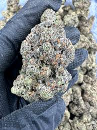 Georgia Pie Thca Flower