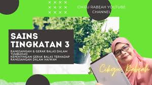 Oleh itu, para pelajar dinasihatkan untuk memberi penekanan yang lebih pada topik ini. Sains Tingkatan 3 Rangsangan Dan Gerak Balas Dalam Tumbuhan Youtube