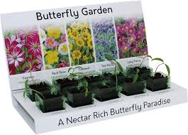 Float like a butterfly.gardeners have hundreds of choices of host plants for butterflies, and we want to help you select the best plants that attract although we garden in the south, the list below of butterfly garden plants is for the entire us and includes butterfly flowers that can be grown in the. Butterfly Attracting Garden Flowers Grow Your Own Kit 100 Recyclable 5 Varieties From Seed Eco Gift Made With 100 Recyclable Materials Amazon Co Uk Garden Outdoors