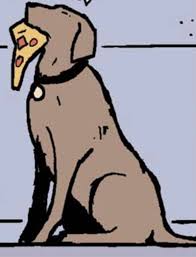 Chosen One Of The Day Pizza Dog