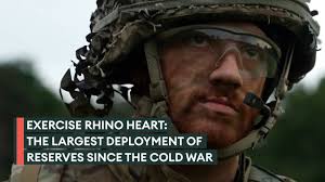 Reservists could now get Army pension following 'major' win in landmark case