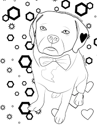 Free download 40 best quality easy dog coloring pages at getdrawings. How To Turn Your Dog Into A Coloring Page Kol S Notes