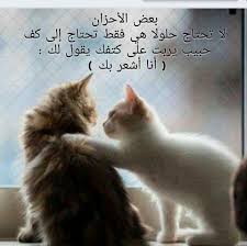 صور مضحكة غريبة و معبرة Posts Facebook