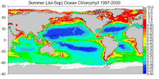 nasa satellites see ocean plants increase coasts greening