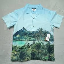 NWT Roark Mens M Hinano Gonzo Otemanu SS Woven Shirt Blue RW645 Graphic