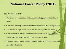 The Chipko Movement Essay Help
