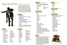 Each class lasts one hour and includes virtual office hours each week for support. Puppy Socialisation Checklist Full Puppy Socialization Puppy Socialization Checklist Socializing Dogs