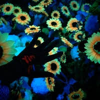 If you're looking for visiting the dark mansion yang berlokasi di pusat george town penang merupakan 3d glow in the dark. Dark Mansion 3d Glow In The Dark Museum Kunstmuseum In George Town