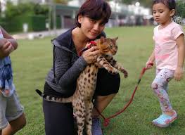 Apr 18, 2019 · itulah yang dapat kami bagikan mengenai cara menghilangkan tulisan page 1 di excel. Fasha Sandha Jawab Teguran Netizen Dera Kucing Pakai Tali
