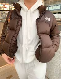 Brown North Face Jacket Aesthetic Streetwear Fashion Women Streetwear Outfit Trendy Outfits