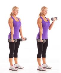 6 Best Exercises For Arm Definition At Home Good Arm Workouts