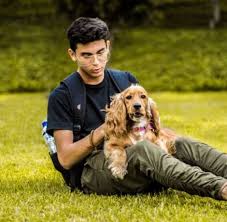 Americans spent $29.3 billion on veterinary care last year. Pet Insurance Quotes Plans And Reviews Pet Insurance Finder