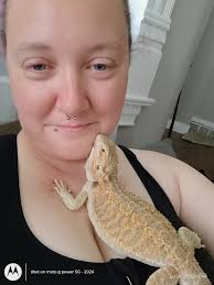 Just cuddle and do nothing day!