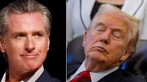 One great cookbook: Anita Lo's 'Solo'