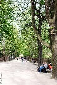 jardin des plantes during springtime visit paris jardin spring time