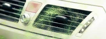 We did not find results for: How Often Should You Change Your Cabin Filter