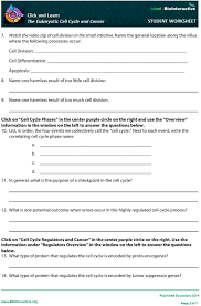 Mr lopez s biology class october 2015 mitosis paper model activity picture i think i would have students from the cell cycle worksheet answer key , source: The Eukaryotic Cell Cycle And Cancer In Depth Pdf Free Download