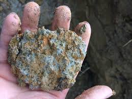 You certainly can and should try to do well, but it's no placing higher in races and events grants you some better rewards, but even coming in last will get you some of those. Soil Basics Soil Science Society Of America