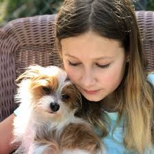Just a girl and her dog... I ❤️capturing these loving moments between  Stella and our rescue doggy 🐶 Musso. Animals only know how to give  unconditional love. We should all practice our