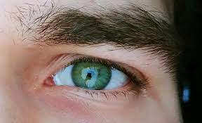 Ive Been Told You Have The Most Vibrant Green Eyes I Ve Ever Seen More Times Than I Can Count Do You Agr In 2021 Eyes Aesthetic Hazel Green Eyes Blue Eyes