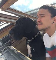 50 Hilarious Great Dane Pics That Prove Just How Wonderfully Oblivious Of  Their Size They Are