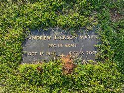 Rev Andrew Jackson Mayes (1946-2009)