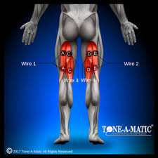 Electrode Placement For Electric Stimulation Charts