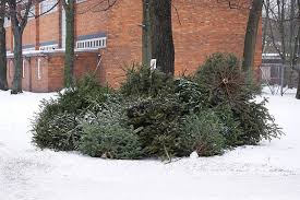 Was sollte ich beim kauf beachten, wie bewahre ich ihn am besten auf? Warum Wir Einen Weihnachtsbaum Aufstellen Geschichte Mehr