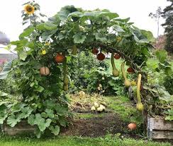How To Make A Simple Garden Planter Box Raised Bed Garden Vegetable Garden Design Pumpkin Garden Garden Planter Boxes