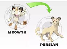 What Does Persian Evolve Into In Pokemon Quora