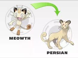 what does persian evolve into in pokemon quora