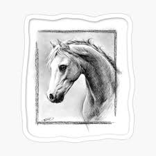 We did not find results for: Horse Portrait Charcoal Drawing Kids T Shirt By Edrawings38 Redbubble